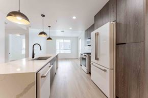 San Diego apartment for rent - a kitchen with a sink and a refrigerator