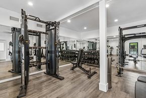 Nashville apartment for rent - A gym with a variety of equipment including a squat rack, bench press, and a mirror.