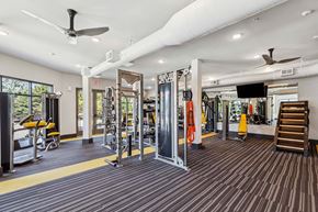 Centennial apartment for rent - A gym with a variety of equipment including a squat rack, bench press, and a rowing machine.