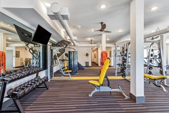 Free weights area