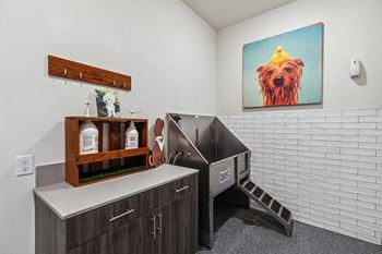Pet grooming spa room