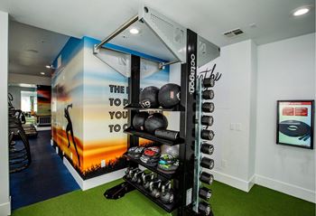 24-Hour fitness center with free weights area