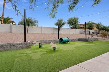Dog park