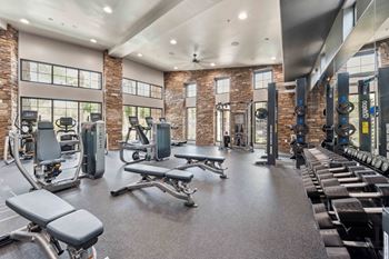 Free weights area