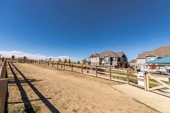 On-site dog park & dog washing station