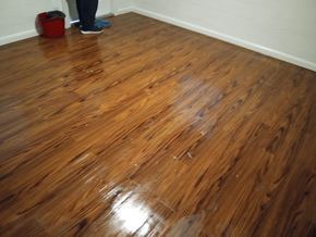Orlando apartment for rent - A wooden floor with a red object and a person standing in the corner.