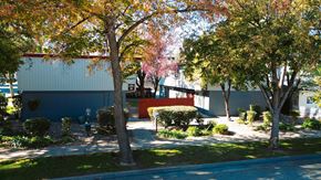 Davis apartment for rent - A tree with red leaves stands in front of a blue building at I Street Apartments, Davis, 95616