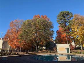 Knoxville apartment for rent - A pool surrounded by trees with fall foliage.