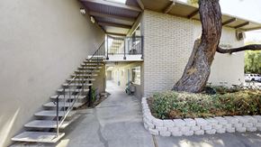 Davis apartment for rent - A tree is growing out of a planter box at Pennsylvania Place, Davis, CA