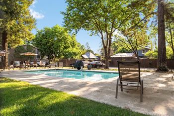 Outdoor pool area with lounge chairs and tree shade