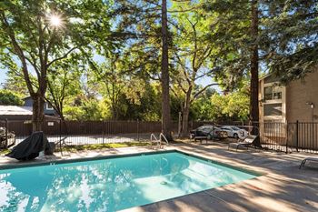 Swimming pool surrounded by mature trees and metal fencing