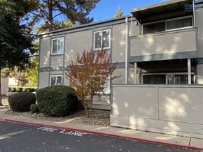 Chico apartment for rent - A tree with red leaves is in front of a grey building.