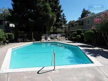 Chico apartment for rent - A small pool surrounded by trees and bushes.