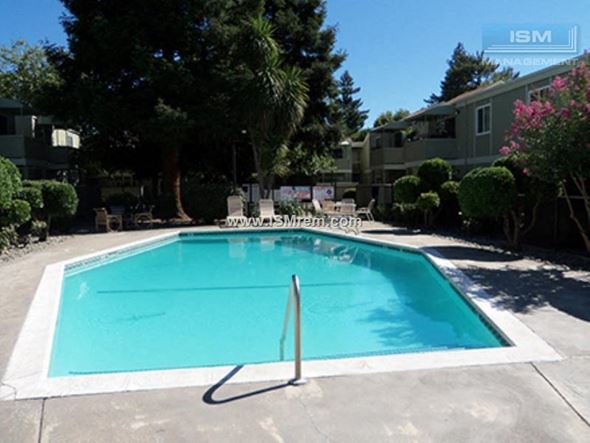 Chico apartment for rent - A small pool surrounded by trees and bushes.