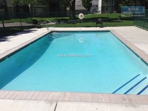 Carson City apartment for rent - A blue swimming pool with a website address written on it.