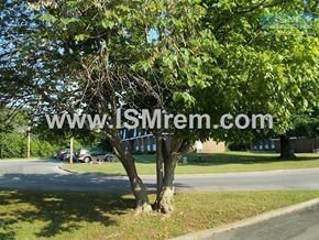 Columbia apartment for rent - A tree with green leaves is in the foreground of an image with a website address superimposed on it.