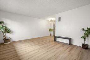 Los Angeles apartment for rent - One Bedroom Open Living Room Space