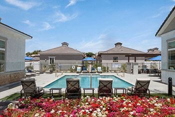 Poolside sun deck
