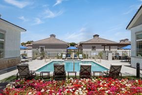 Phoenix apartment for rent - a swimming pool surrounded by chairs and colorful flowers at Zora Encanto, Phoenix, Arizona