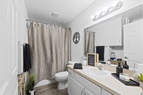 Lakeland apartment for rent - a bathroom with a shower and a sink and a toilet