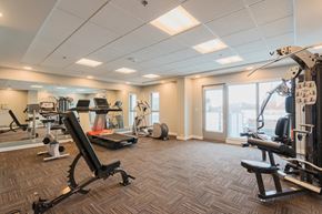 Edmonton apartment for rent - A spacious gym with a variety of equipment including treadmills, weights, and exercise machines.
