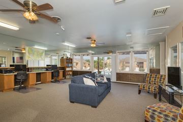 Colorado Springs apartment for rent - A spacious living room with a blue couch and a ceiling fan.