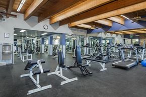 Colorado Springs apartment for rent - A gym with a variety of equipment including weights and benches.