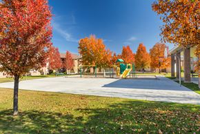 Taylorsville apartment for rent - A playground with a yellow slide surrounded by trees with red and orange leaves.