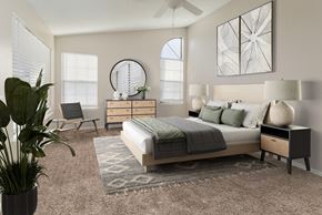 Aurora apartment for rent - A bedroom with a large bed, a potted plant, and a mirror on the wall.