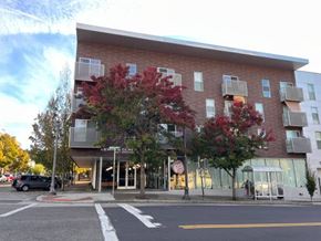 Vancouver apartment for rent - A building with a red tree in front of it.