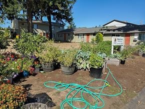 Portland apartment for rent - a garden with plants and a hose on the ground