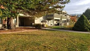 Roslyn apartment for rent - a house with a yard and a tree in front of it
