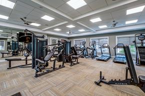 Mercerville apartment for rent - A gym with a variety of equipment including treadmills, stationary bikes, and weight machines.