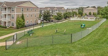 Community dog area