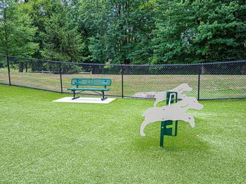 Dog run
