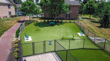 Aerial view of dog park