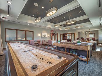 Shuffleboard