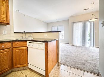 Kitchen with living area