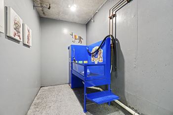 Dog wash station