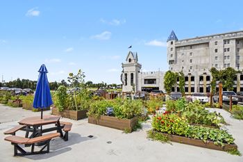 Community garden