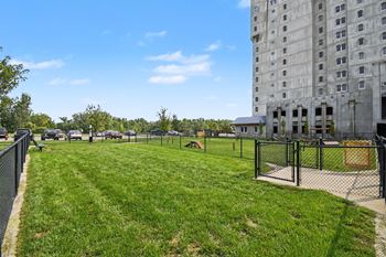 Dog parks