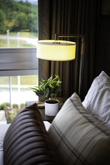 Lebanon apartment for rent - a living room with a couch and a lamp and a plant