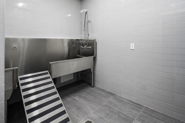 Etobicoke apartment for rent - A bathroom with a shower and a walk-in shower stall.