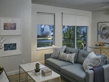 Vancouver apartment for rent - A living room with a grey couch and a small table with a plant on it.