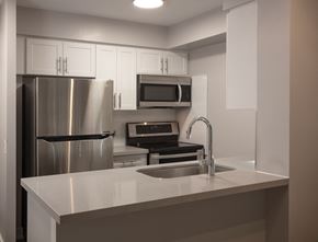 North York apartment for rent - a kitchen with a sink and a refrigerator