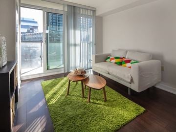 Toronto apartment for rent - A living room with a white couch and a green rug.