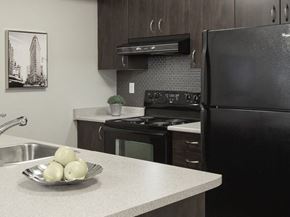 Etobicoke apartment for rent - a kitchen with a black refrigerator freezer next to a stove top oven