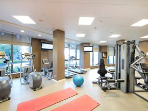 Etobicoke apartment for rent - a room filled with lots of different types of exercise equipment