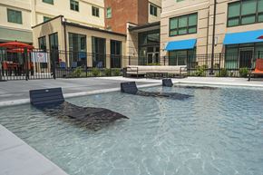 Richmond apartment for rent - a pool with lounge chairs and umbrellas in front of a building at The Icon, Richmond, VA 23230