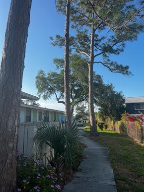Melbourne apartment for rent - a sidewalk in front of a house with trees